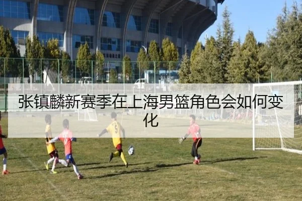 张镇麟新赛季在上海男篮角色会如何变化