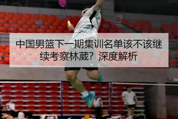 中国男篮下一期集训名单该不该继续考察林葳？深度解析