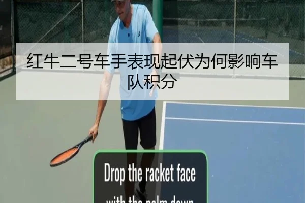 红牛二号车手表现起伏为何影响车队积分