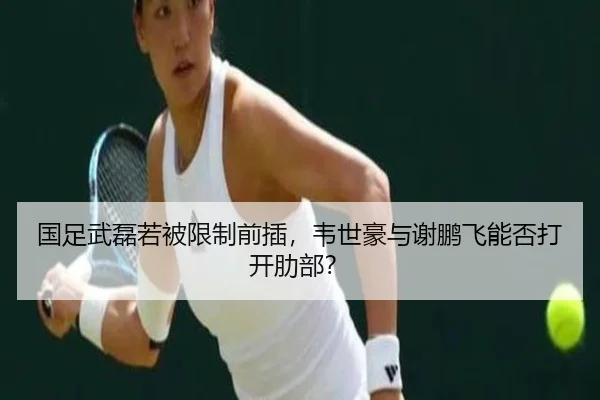 国足武磊若被限制前插，韦世豪与谢鹏飞能否打开肋部？