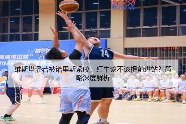 维斯塔潘若被诺里斯紧咬，红牛该不该提前进站？策略深度解析